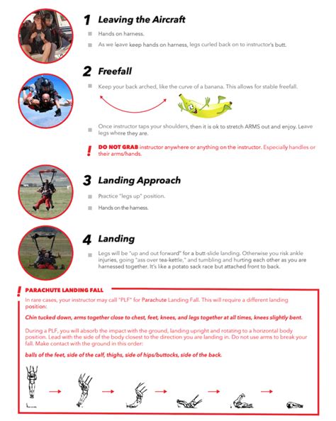 skydiving safety facts.